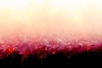 image: Image from the photoset &lsquo;fire (xxxi)&rsquo;.