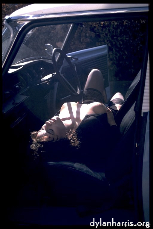 Image 'kerry (ii) 4'.