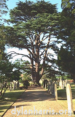 Image 'kimbolton 4'.