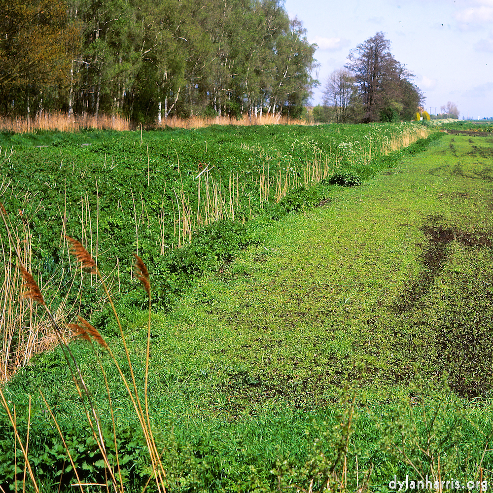 image: This is &lsquo;fen (xi) 2&rsquo;.