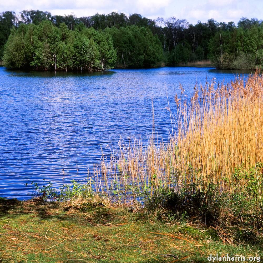 image: This is &lsquo;fen (xi) 3&rsquo;.