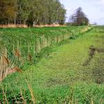 image: Image from the photoset &lsquo;fen (xi)&rsquo;.