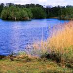 image: Image from the photoset &lsquo;fen (xi)&rsquo;.