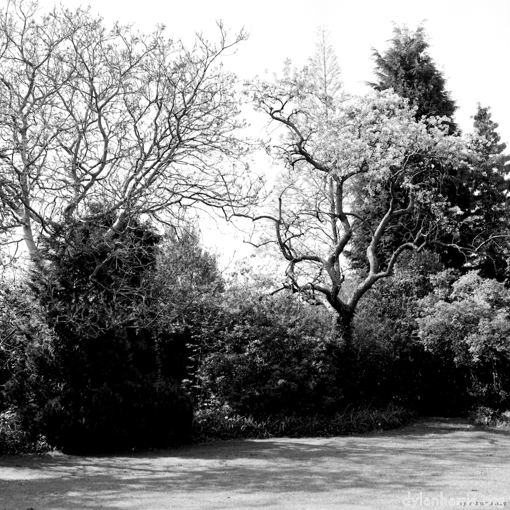 image: This is &lsquo;fen (xiii) 3&rsquo;.