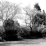 image: Image from the photoset &lsquo;fen (xiii)&rsquo;.