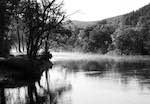 image: Image from the photoset &lsquo;wood (iii)&rsquo;.