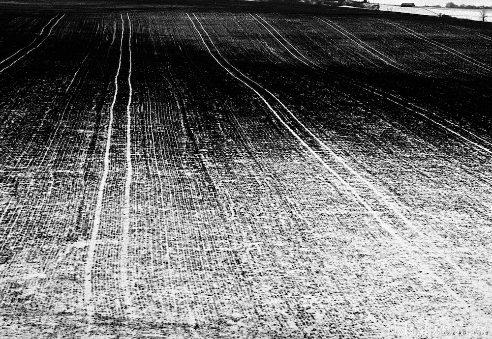 Image 'train (i) 4'.