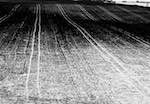 image: Image from the photoset &lsquo;train (i)&rsquo;.