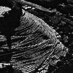 image: Image from the photoset &lsquo;untitled (i)&rsquo;.