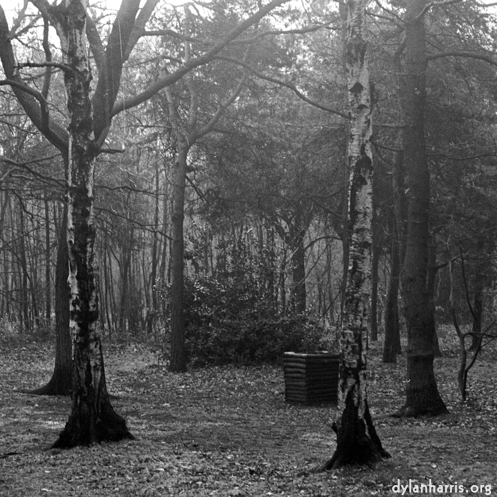 image: This is &lsquo;wood (xxv) 3&rsquo;.