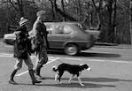 image: Image from the photoset &lsquo;daws hill (ii)&rsquo;.