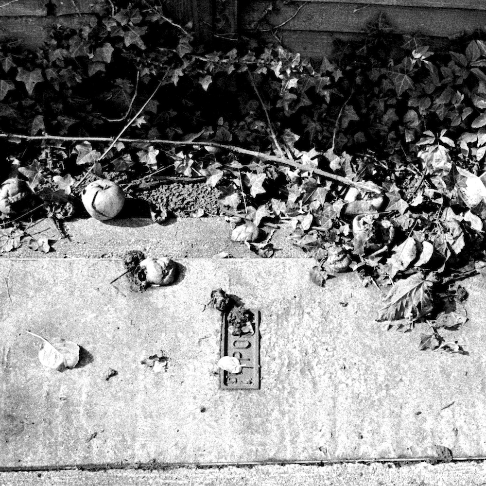 image: This is &lsquo;untitled (iv) 3&rsquo;.