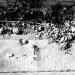 image: Image from the photoset &lsquo;untitled (iv)&rsquo;.