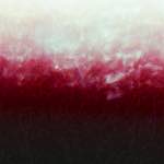 image: Image from the photoset &lsquo;fire (xv)&rsquo;.
