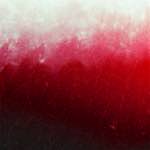 image: Image from the photoset &lsquo;fire (xv)&rsquo;.