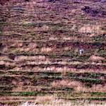 image: Image from the photoset &lsquo;edinburgh (xiii)&rsquo;.