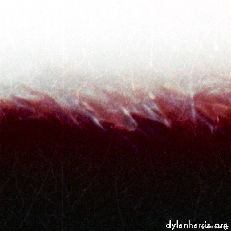 image: This is &lsquo;fire (xvi) 1&rsquo;.