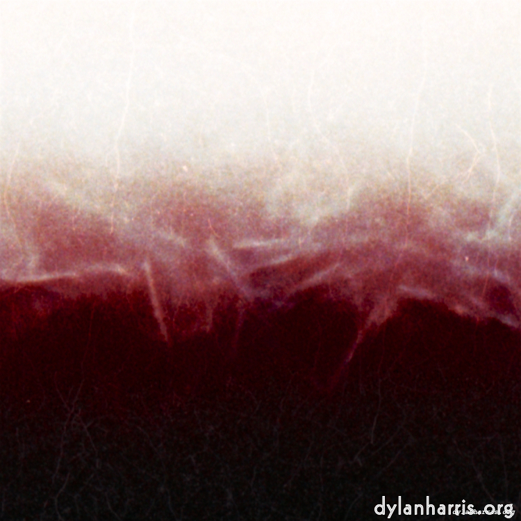 image: This is &lsquo;fire (xvi) 4&rsquo;.