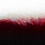image: Image from the photoset &lsquo;fire (xvi)&rsquo;.