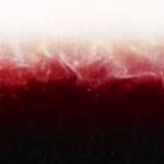 image: Image from the photoset &lsquo;fire (xvi)&rsquo;.