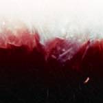 image: Image from the photoset &lsquo;fire (xvi)&rsquo;.