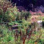 image: Image from the photoset &lsquo;edinburgh (xvi)&rsquo;.
