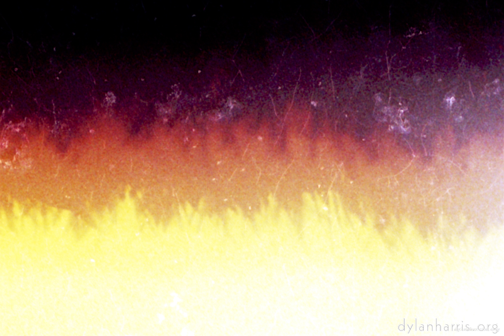 image: This is &lsquo;abstract (xvii) 4&rsquo;.