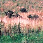 image: Image from the photoset &lsquo;edinburgh (xix)&rsquo;.