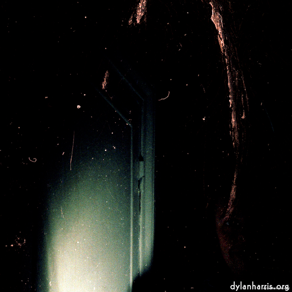 image: This is &lsquo;auto (iv) 1&rsquo;.