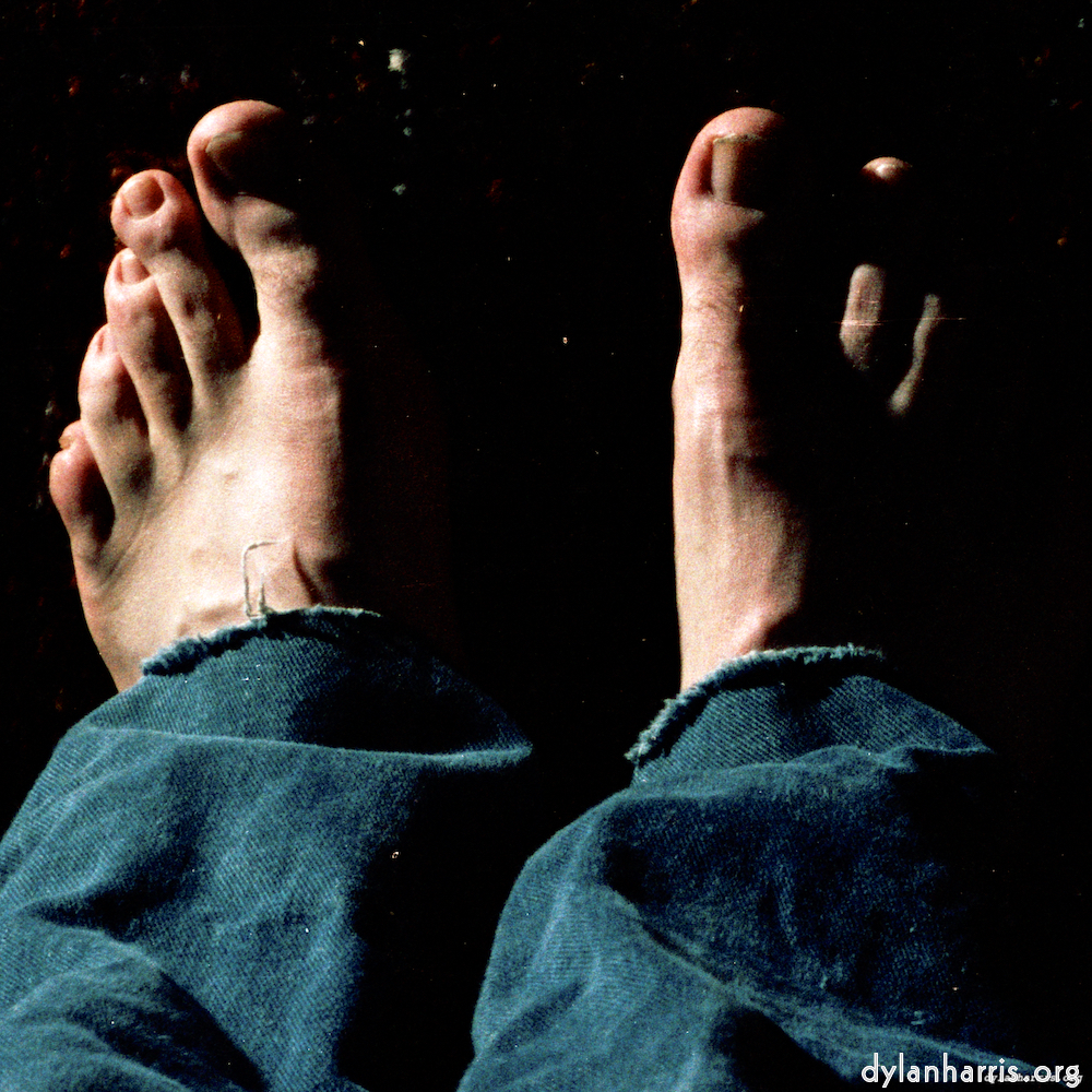 image: This is &lsquo;auto (iv) 3&rsquo;.