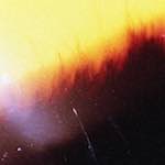 image: Image from the photoset &lsquo;fire (xxiv)&rsquo;.
