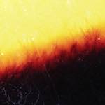 image: Image from the photoset &lsquo;fire (xxiv)&rsquo;.