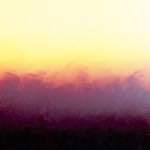 image: Image from the photoset &lsquo;fire (xxv)&rsquo;.