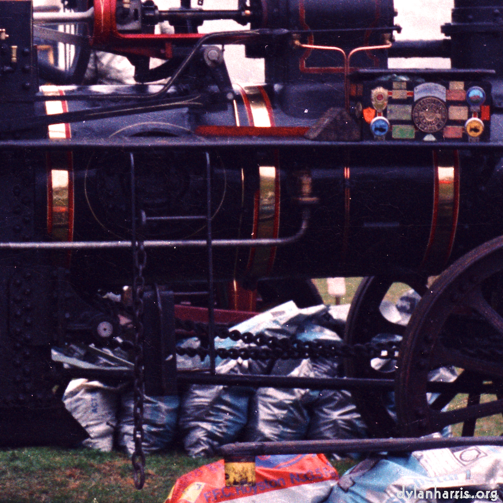 image: This is &lsquo;roxton 1&rsquo;.