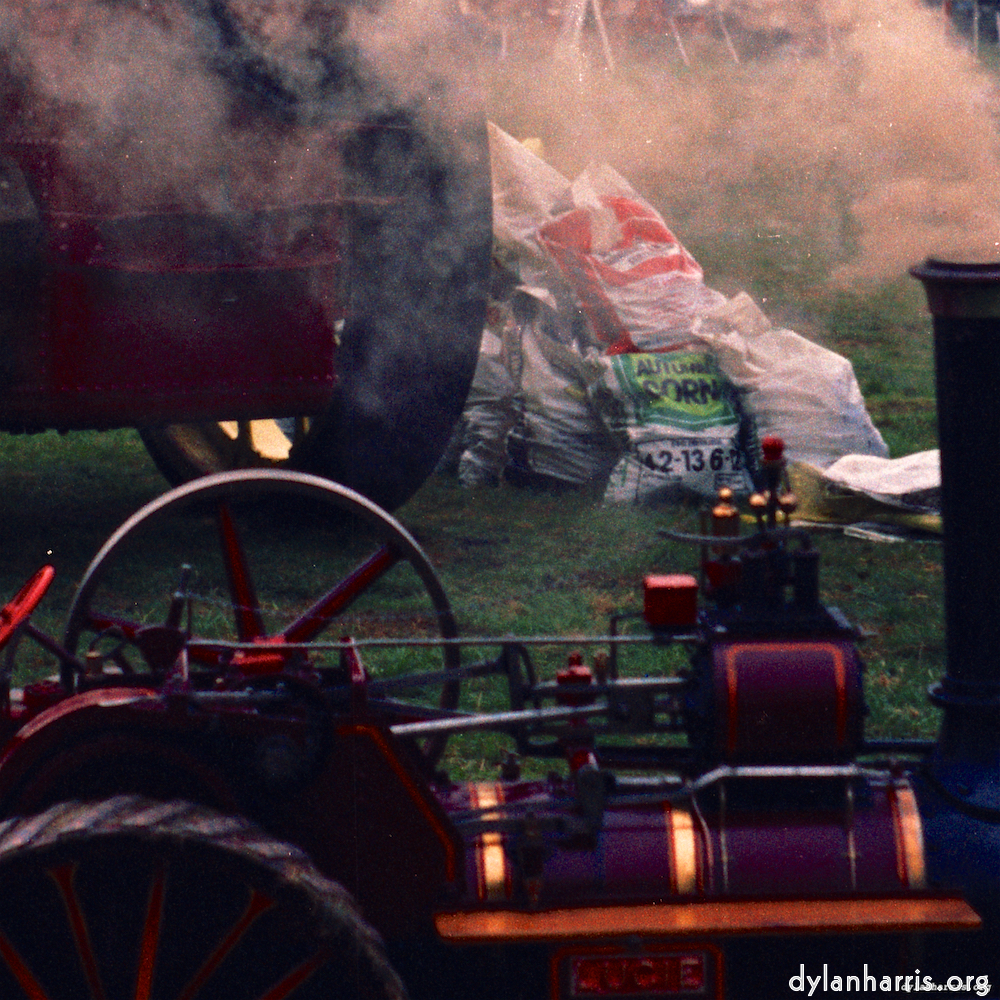 image: This is &lsquo;roxton 3&rsquo;.