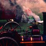 image: Image from the photoset &lsquo;roxton&rsquo;.