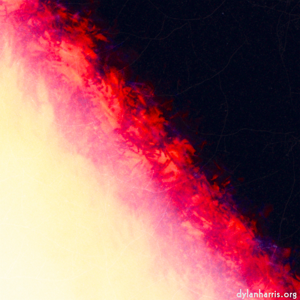 image: This is &lsquo;fire (xix) 1&rsquo;.