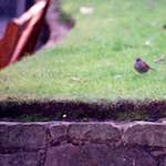 image: Image from the photoset &lsquo;edinburgh (ii)&rsquo;.