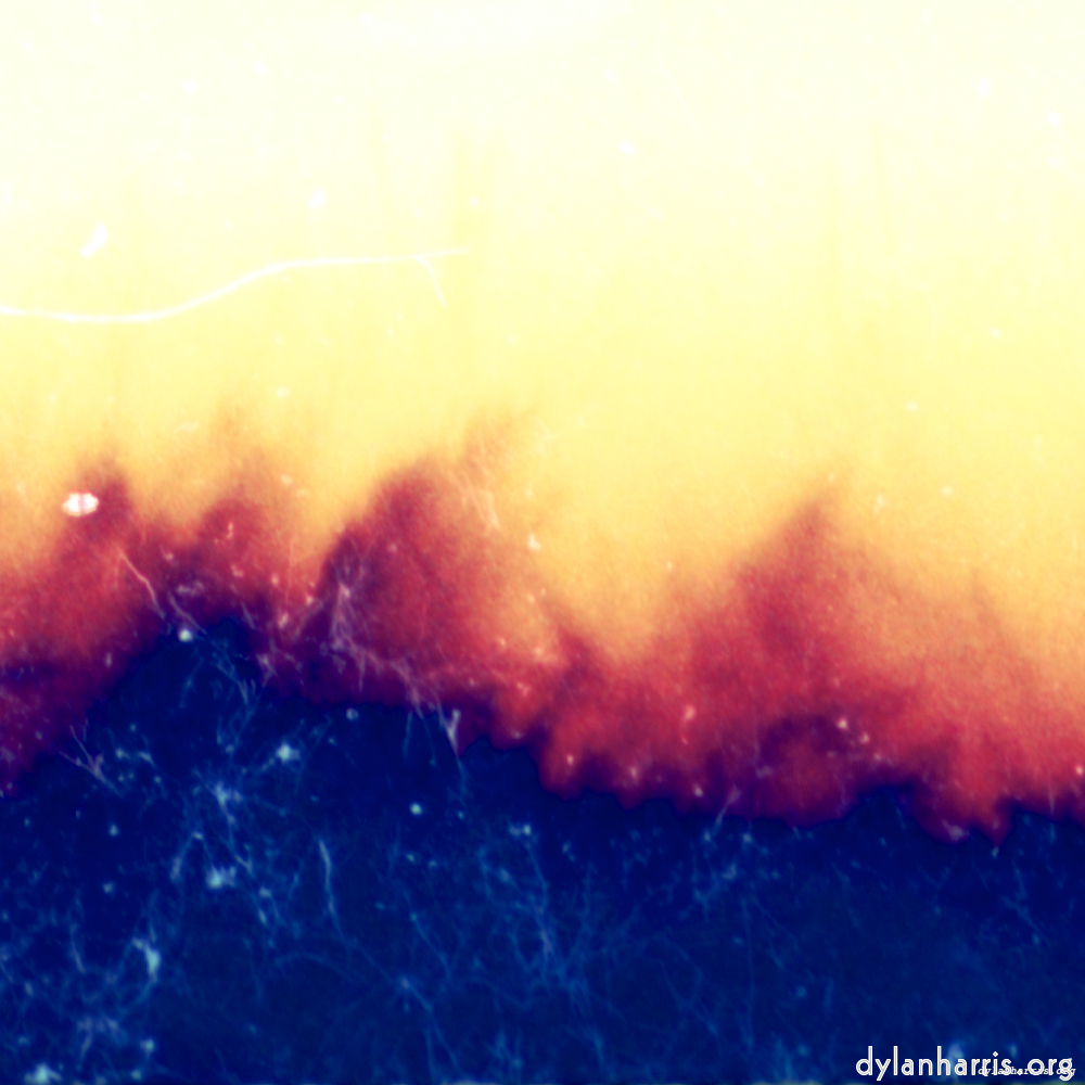image: This is &lsquo;fire (vi) 4&rsquo;.