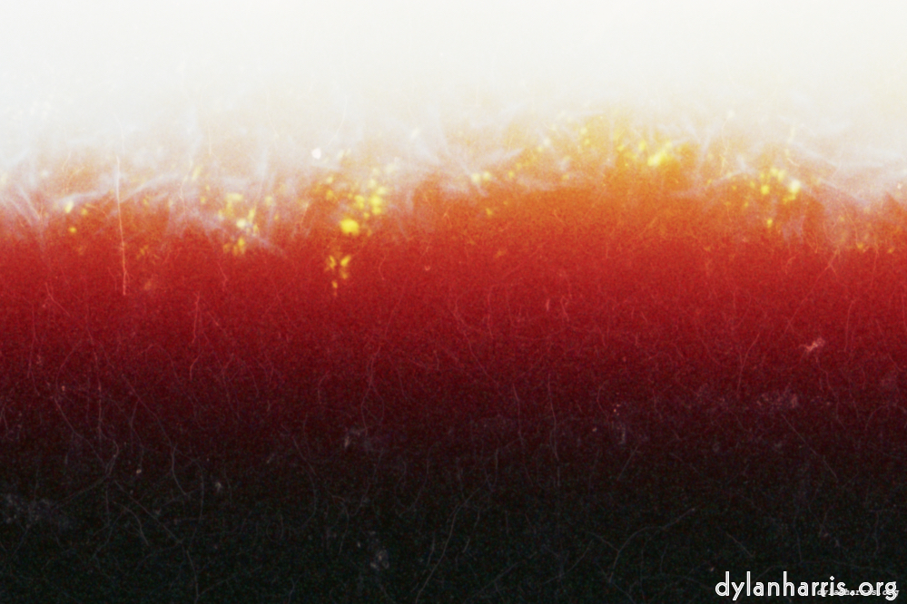 image: This is &lsquo;fire (xii) 1&rsquo;.