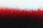 image: Image from the photoset &lsquo;fire (xii)&rsquo;.