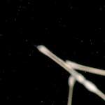 image: Image from the photoset &lsquo;abstract (viii)&rsquo;.