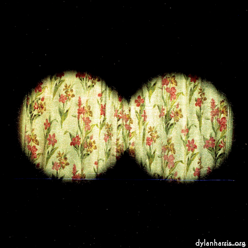 image: This is &lsquo;auto (v) 4&rsquo;.
