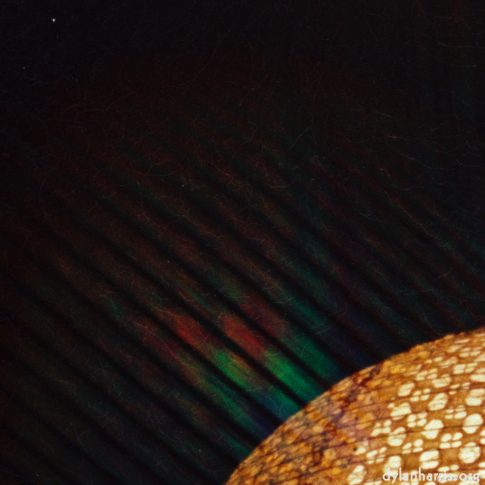 image: abstract