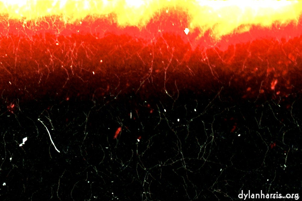 image: This is &lsquo;fire (xiii) 1&rsquo;.