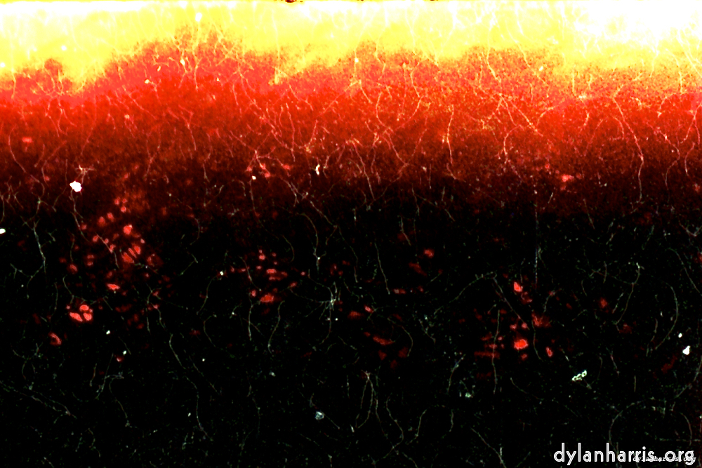 image: This is &lsquo;fire (xiii) 2&rsquo;.