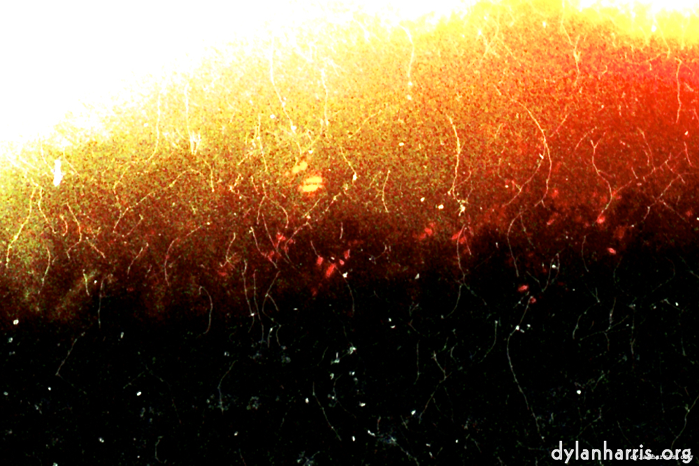 image: This is &lsquo;fire (xiii) 3&rsquo;.
