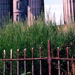 image: Image from the photoset &lsquo;edinburgh (viii)&rsquo;.