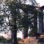 image: Image from the photoset &lsquo;edinburgh (viii)&rsquo;.