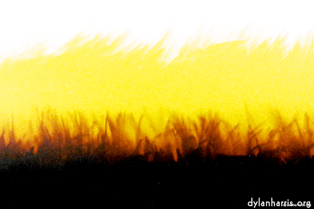 image: This is &lsquo;fire (xxvii) 2&rsquo;.